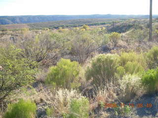 Verde Canyon - Sycamore Canyon Road run