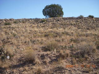 Verde Canyon - Sycamore Canyon Road run