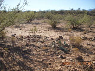 Verde Canyon - Sycamore Canyon Road run