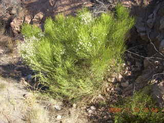 Verde Canyon - Sycamore Canyon Road run