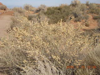 177 6pr. Arches National Park - Devils Garden trail