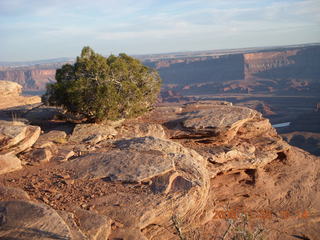 253 6pr. Dead Horse Point State Park