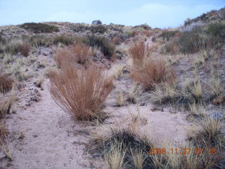 Canyonlands National Park - Lathrop trail hike