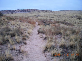 Canyonlands National Park - Lathrop trail hike - pre-dawn grassland