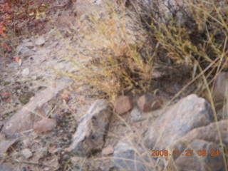 Canyonlands National Park - Lathrop trail hike