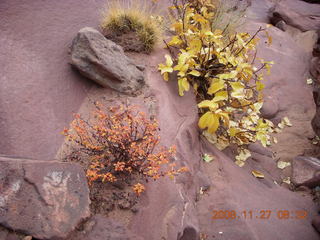 Canyonlands National Park - Lathrop trail hike