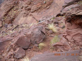 Canyonlands National Park - Lathrop trail hike