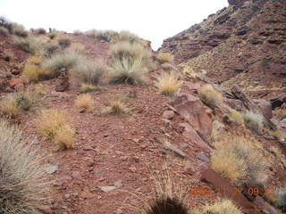 Canyonlands National Park - Lathrop trail hike