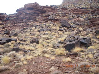 Canyonlands National Park - Lathrop trail hike