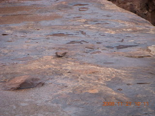 Canyonlands National Park - Lathrop trail hike - sign at white rim road