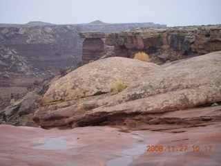 Canyonlands National Park - Lathrop trail hike - white rim