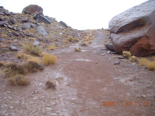 Canyonlands National Park - Lathrop trail hike