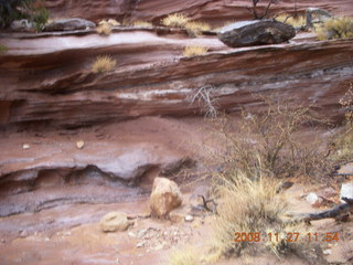 Canyonlands National Park - Lathrop trail hike