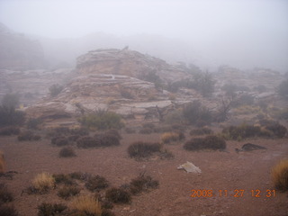 Canyonlands National Park - Lathrop trail hike