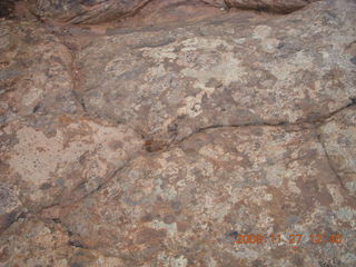 Canyonlands National Park - Lathrop trail hike - plants reflected in pothole puddle