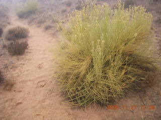 308 6pt. Canyonlands National Park - Lathrop trail hike