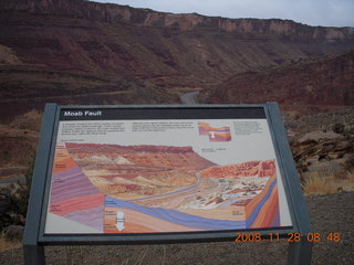 leaves near Moab bridge across the Colorado River