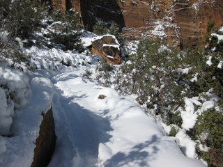 beth's Saturday zion-trip pictures - Zion National Park - Adam at visitors center