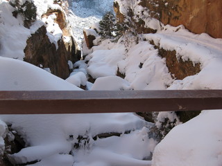 63 6qg. beth's Saturday zion-trip pictures - Zion National Park - Angels Landing hike