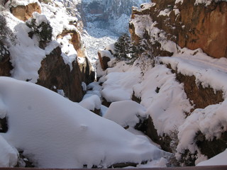 beth's Saturday zion-trip pictures - Zion National Park - Angels Landing hike