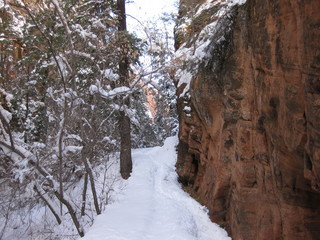 67 6qg. beth's Saturday zion-trip pictures - Zion National Park - Angels Landing hike