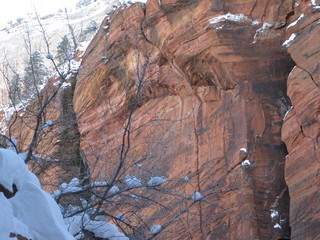 beth's Saturday zion-trip pictures - Zion National Park - Angels Landing hike