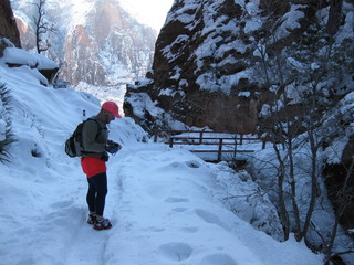 beth's Saturday zion-trip pictures - Zion National Park - Angels Landing hike - Adam