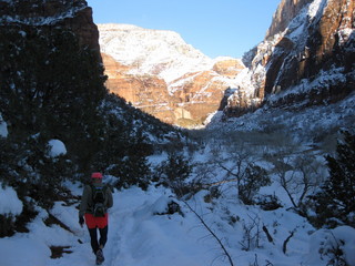 beth's Saturday zion-trip pictures - Zion National Park - Angels Landing hike