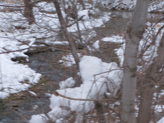 beth's Sunday zion-trip pictures - Zion National Park - Virgin River