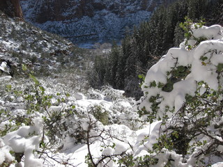 66 6qh. beth's Sunday zion-trip pictures - Zion National Park - Emerald Ponds hike