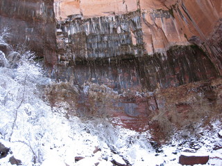 beth's Sunday zion-trip pictures - Zion National Park - Emerald Ponds hike - Debbie