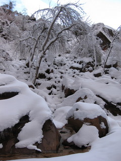 beth's Sunday zion-trip pictures - Zion National Park - Emerald Ponds hike - Debbie