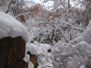 beth's Sunday zion-trip pictures - Zion National Park - Emerald Ponds hike - Debbie and Adam