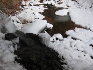 116 6qh. beth's Sunday zion-trip pictures - Zion National Park - Emerald Ponds hike