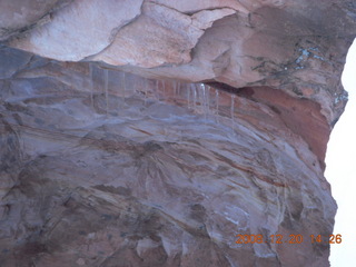 55 6ql. Zion National Park - Angels Landing hike