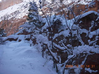 Zion National Park - Angels Landing hike