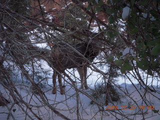 Zion National Park - Angels Landing hike