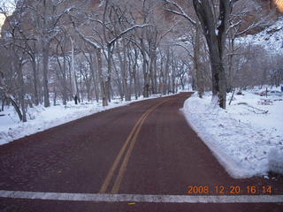 Zion National Park - road