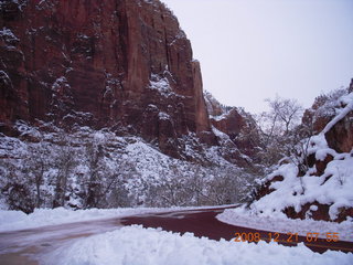 Zion National Park - Debbie on road taking pictures of mule-deer