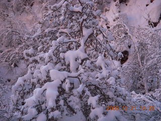 92 6qm. Zion National Park - Emerald Pools hike