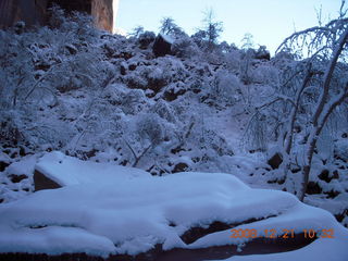 Zion National Park - Emerald Pools hike