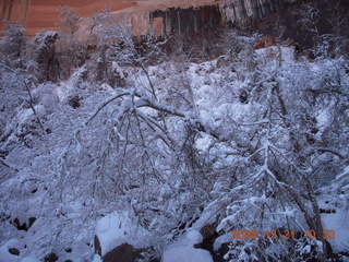 Zion National Park - Emerald Pools hike