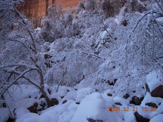 111 6qm. Zion National Park - Emerald Pools hike