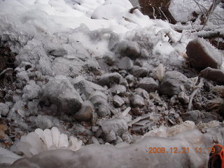 Zion National Park - Emerald Pools hike - icicle trees