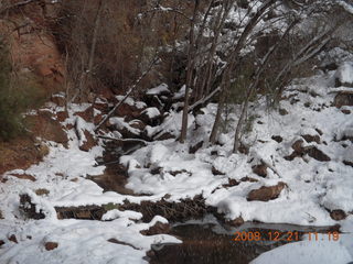 Zion National Park - Emerald Pools hike - Adam - icicles