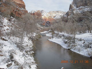 Zion National Park - Emerald Pools hike - icicles