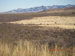 12 6ra. Tombstone run - local flora and distant hills