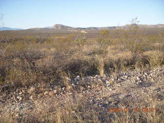 14 6ra. Tombstone run - local flora and distant hills