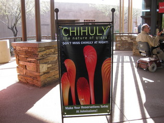 beth's Dale Chihuly pictures -
