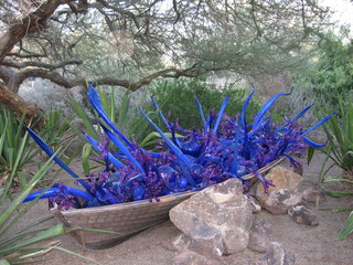 beth's Dale Chihuly pictures -